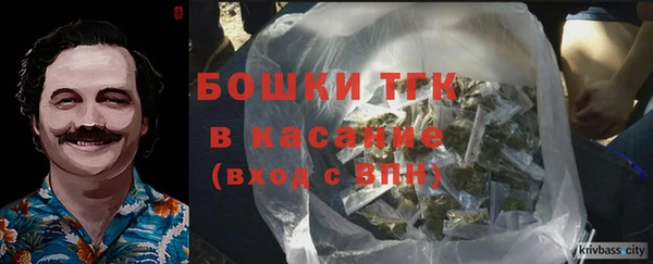 молекула духа Надым