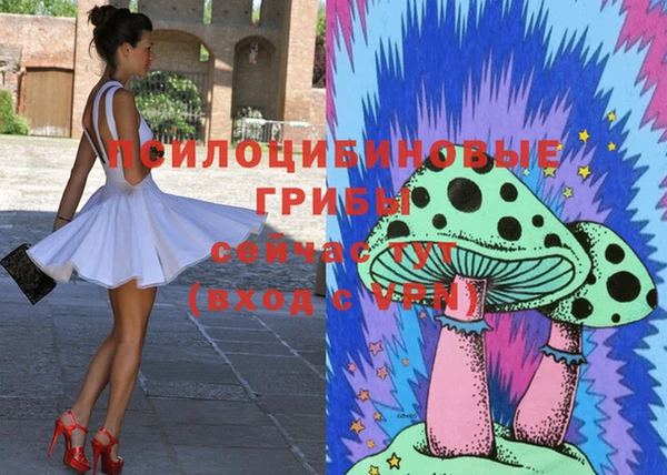 молекула духа Надым