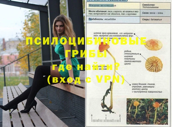 гидропоника Нефтегорск