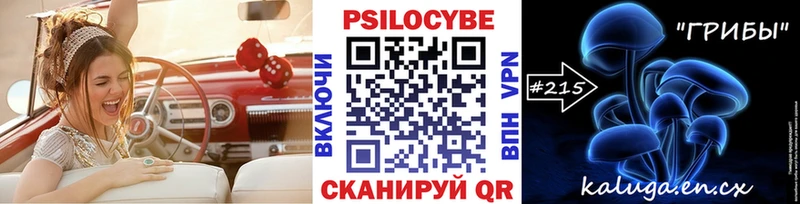 как найти закладки  Певек  OMG   Галлюциногенные грибы мухоморы 